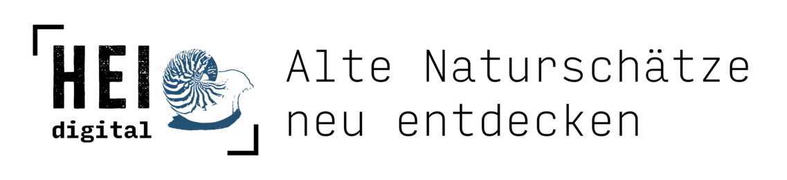 Logo der digitalen Bildungsinitiative HEIdigital mit gezeichneter Schnecke und dem Slogan ‚HEI – Heimat digital gestalten‘, Thüringen.